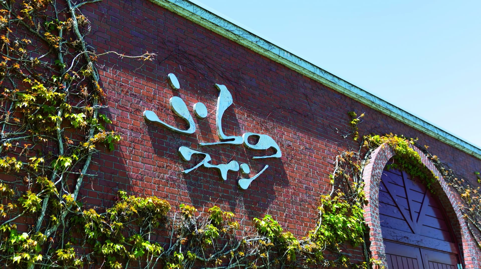 Furano Wine vineyard